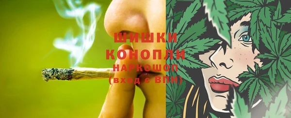 apvp Сосновый Бор