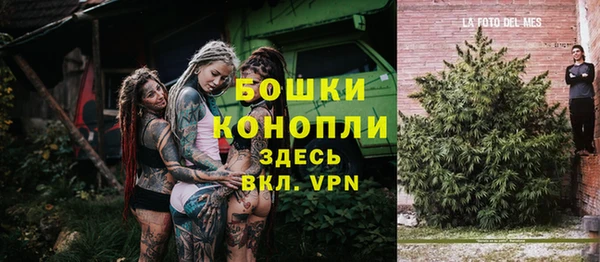 спиды Сосновоборск