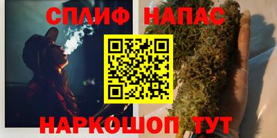 шишки Аргун