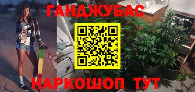 шишки Аргун
