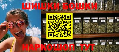 шишки Аргун