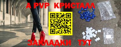 шишки Аргун