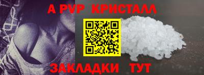 шишки Аргун