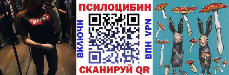 сколько стоит  Улан-Удэ  kraken зеркало  Галлюциногенные грибы прущие грибы 